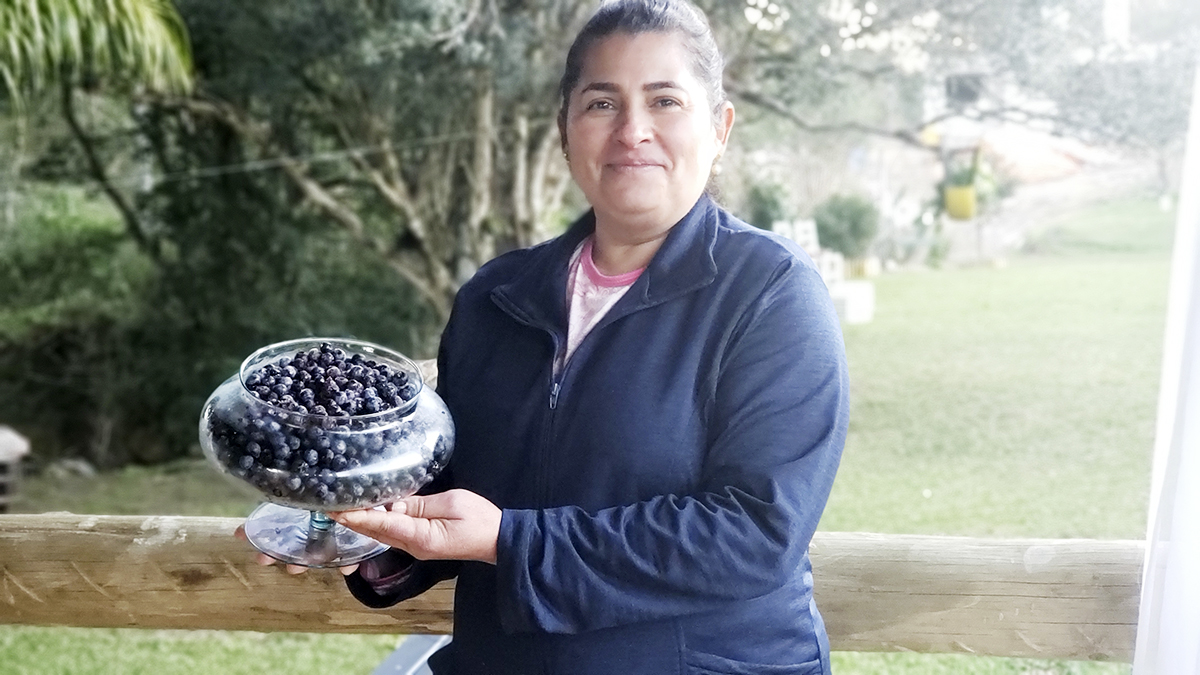 Otavio Rocha: Doces Silber e o Caminho dos Mirtilos